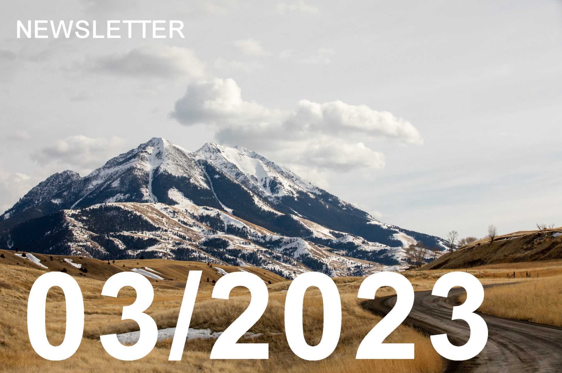 Image is a header image depicting a snow-capped Emigrant Peak in Montana with the text "Newsletter" in the upper left corner and the text "03/2023" in bold type across the bottom.