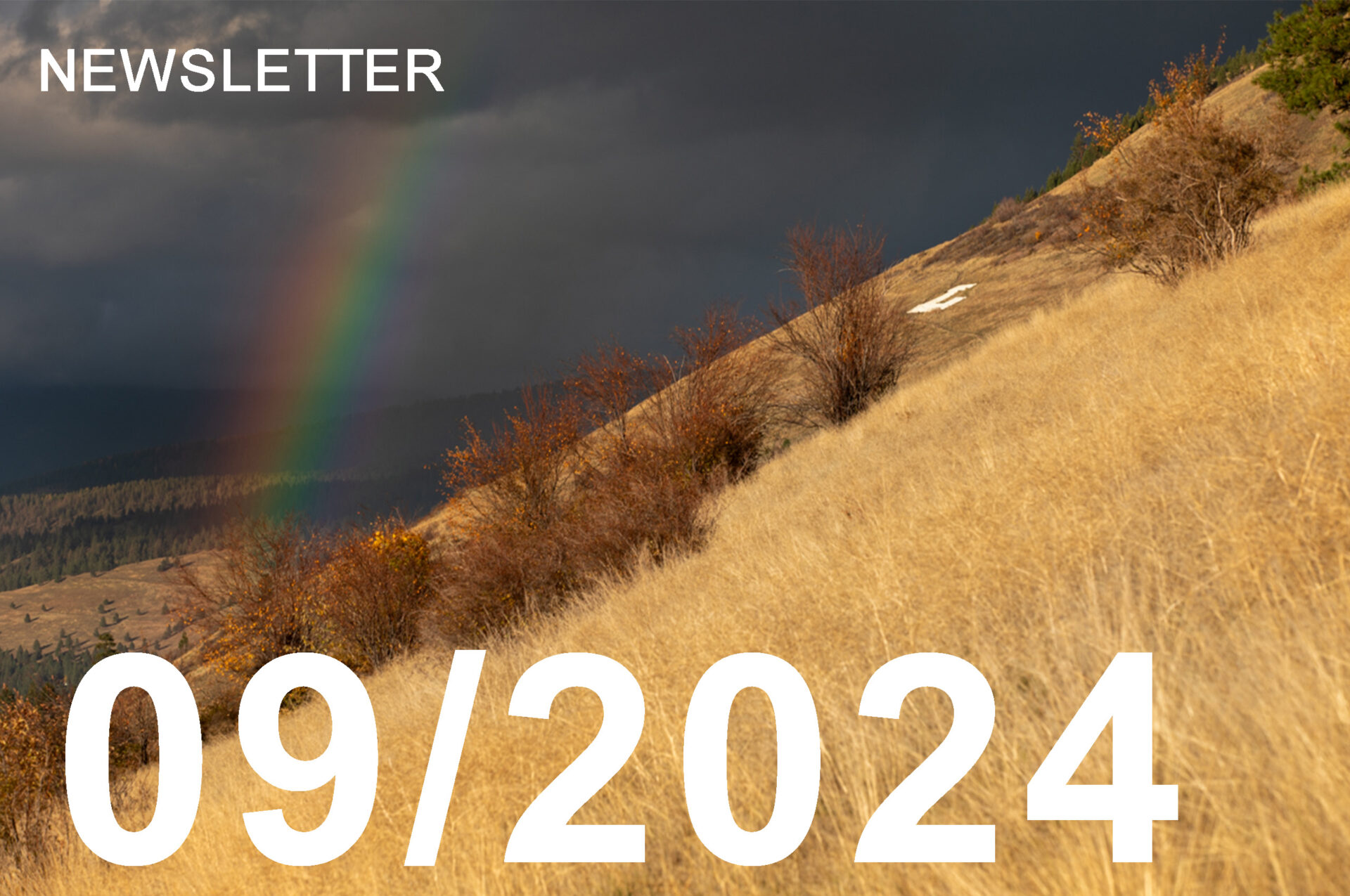 A rainbow seen in the distance behind Mt. Jumbo in Missoula, MT.